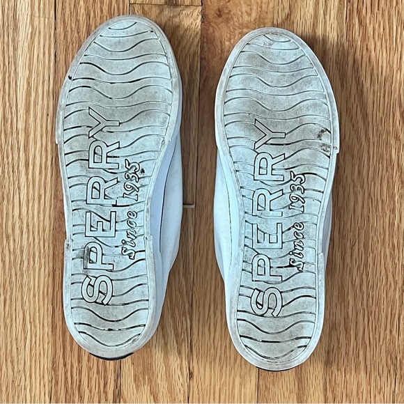 Sperry canvas slip on sneaker - Picture 2 of 6